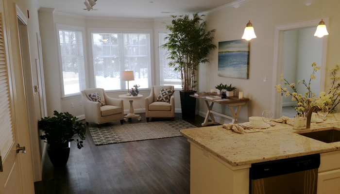Easton MA Apartment - Living Room